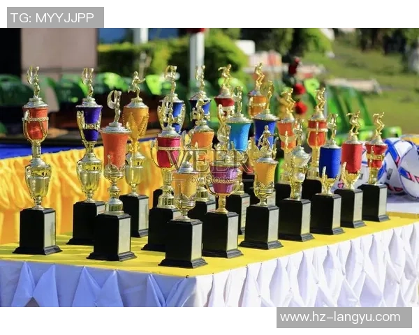 排球与足球各自球星数量盘点与比较分析